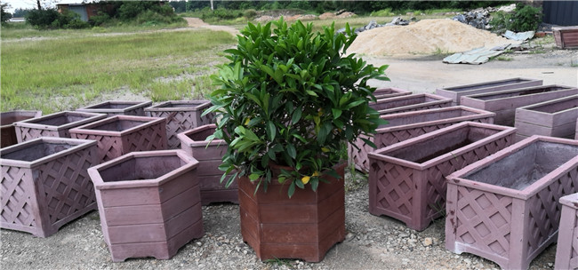 花箱